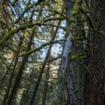 Bozeman MT 59718 - 9