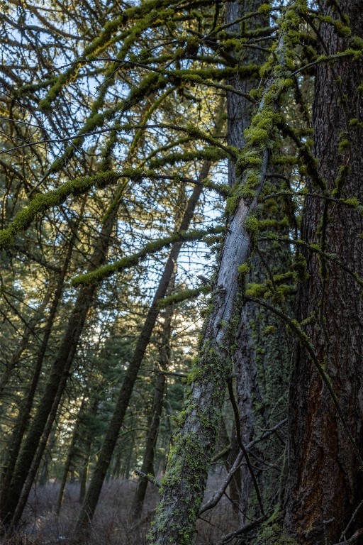 Bozeman MT 59718 - 9