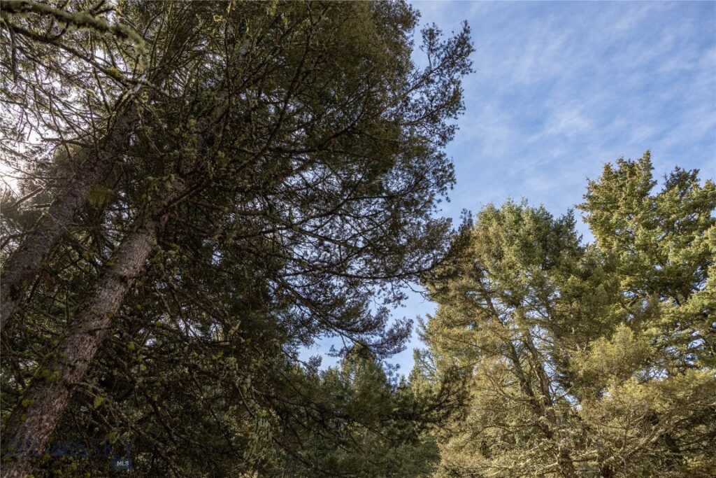 TBD Sunflower Lane LOT 4 Lane