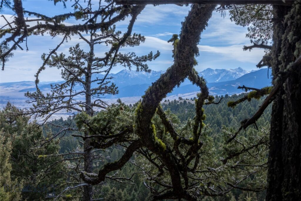 Bozeman MT 59718 - 10