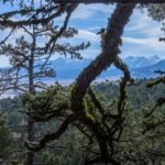 Bozeman MT 59718 - 10