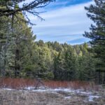 TBD Sunflower Lane LOT 4 Lane