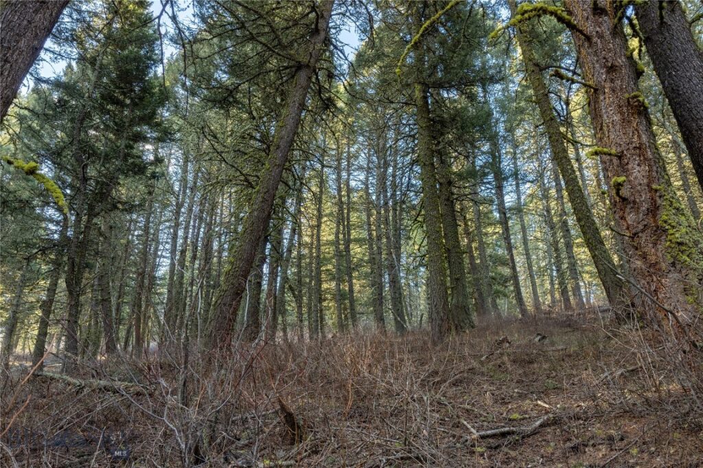 Bozeman MT 59718 - 11