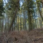 Bozeman MT 59718 - 11