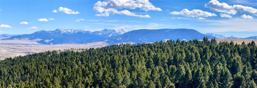 Bozeman MT 59718 - 12