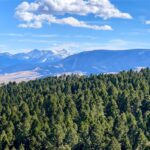 Bozeman MT 59718 - 12