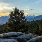 Bozeman MT 59718 - 2