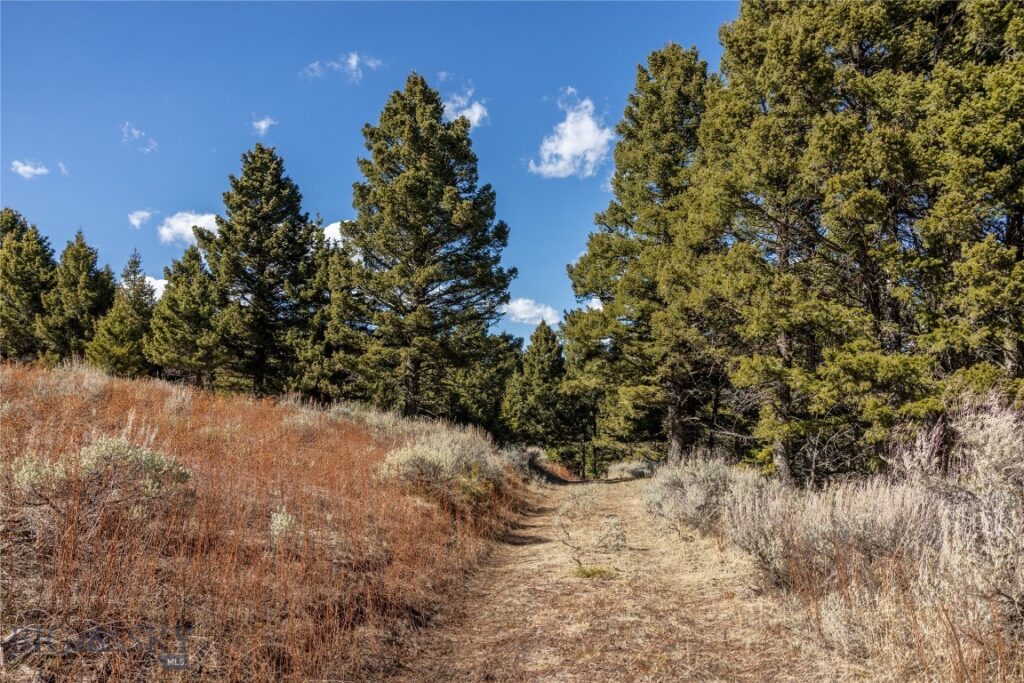 TBD Sunflower Lane LOT 4 Lane