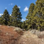 TBD Sunflower Lane LOT 4 Lane