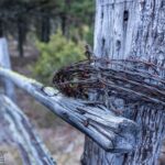 Bozeman MT 59718 - 4